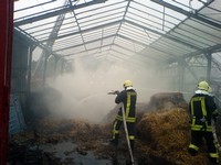 Thumb for 13.jpg (39 KB)