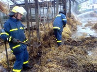 Thumb for 16.jpg (80 KB)