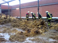 Thumb for 18.jpg (72 KB)