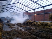 Thumb for 7.jpg (55 KB)