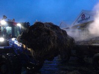 Thumb for dsc00046.jpg (102 KB)