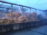 Thumb for dsc00049.jpg (167 KB)