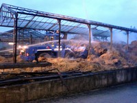 Thumb for dsc00050.jpg (122 KB)