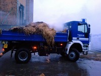 Thumb for dsc00058.jpg (93 KB)