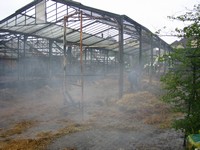 Thumb for img_3498.jpg (177 KB)