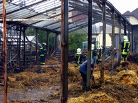 Thumb for img_3500.jpg (153 KB)